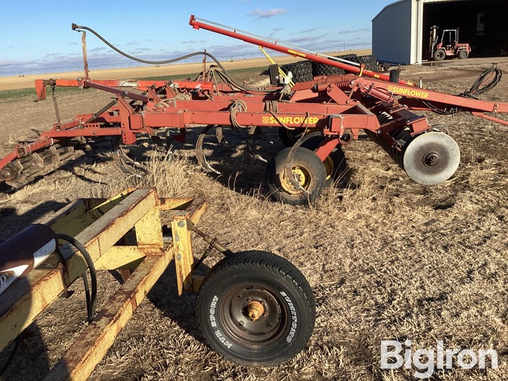 sunflower-4212-13-image-4