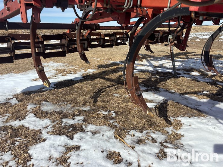 sunflower-4212-16-image-17