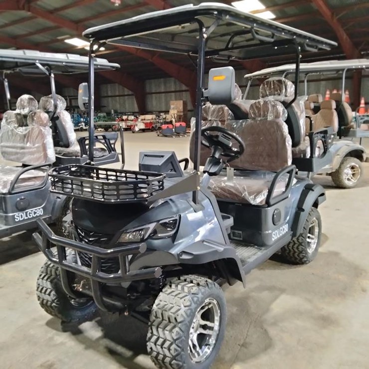 #9 • 4-Seater Electric Golf Cart (SDLGC80)