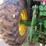 john-deere-6310-image-13