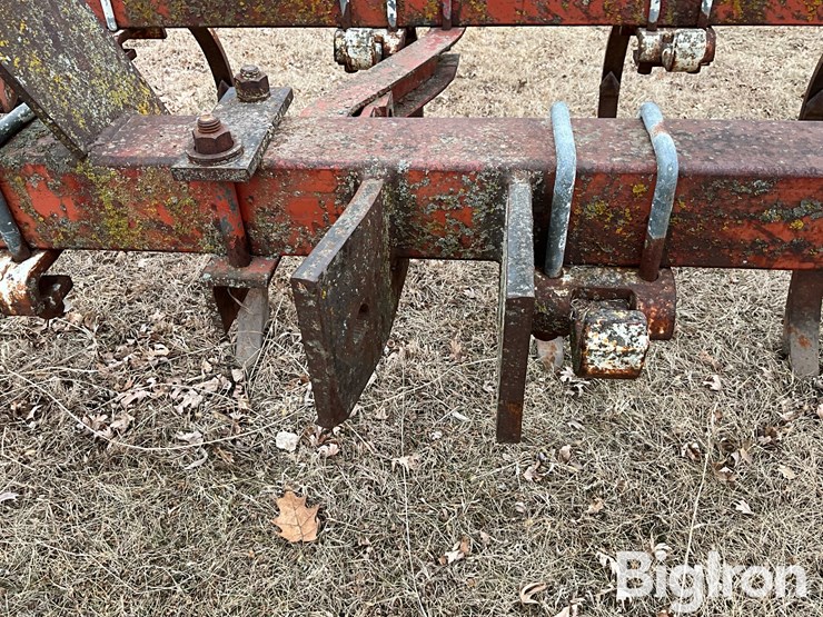 international-55-image-10