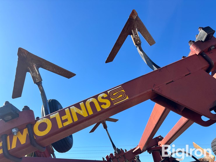 sunflower-42'-3060-42-fallow-king-image-14