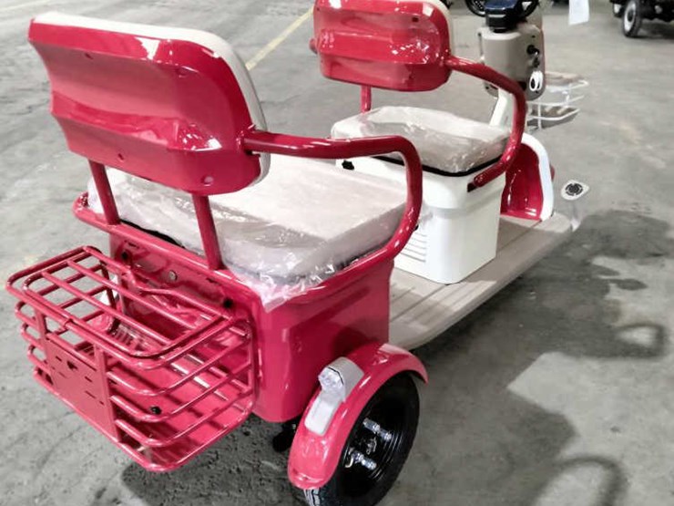 #31-•-mini-2-seater-electric-trike-golf-cart-(irgc40)-image-3