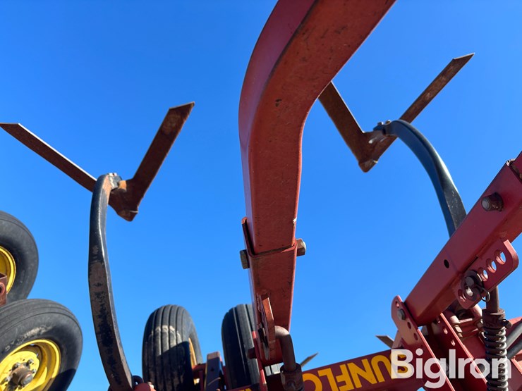 sunflower-42'-3060-42-fallow-king-image-17