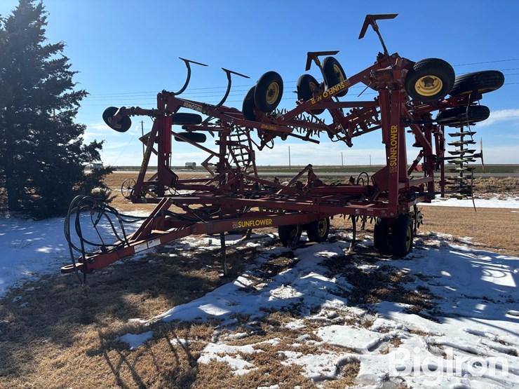 sunflower-42'-3060-42-fallow-king-image-1