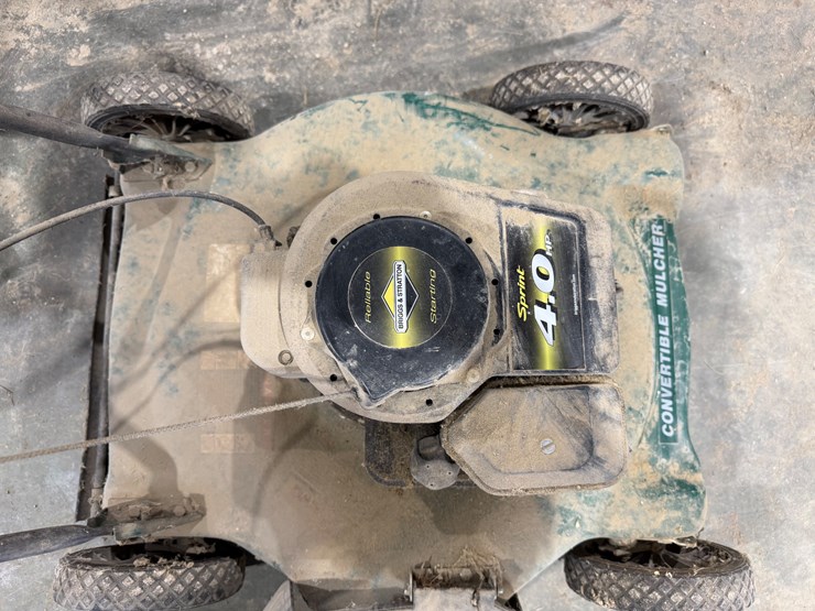 #1069-•-4.0-briggs-&-stratton-image-2