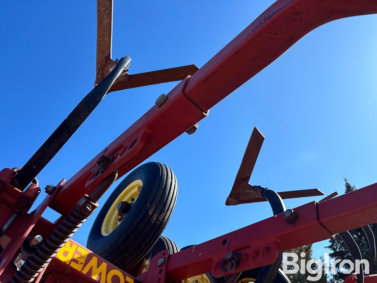 sunflower-42'-3060-42-fallow-king-image-16