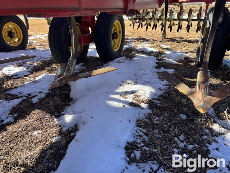 sunflower-42'-3060-42-fallow-king-image-12