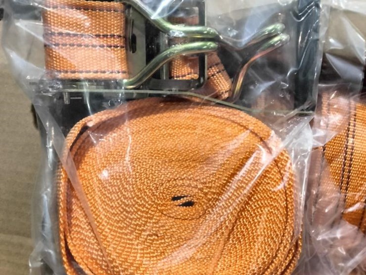 #103-•-(8)-nylon-straps,-steel-retainer-hooks-image-2