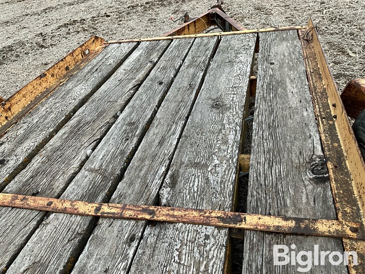 1966-international-14-image-13