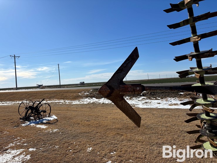 sunflower-42'-3060-42-fallow-king-image-18