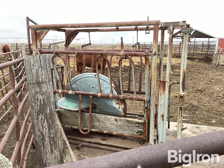 ww-livestock-working-chute-image-4