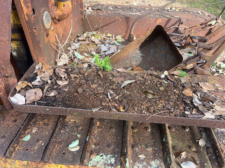 caterpillar-fifteen-crawler-image-30