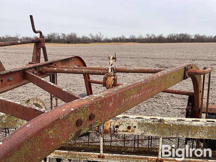 international-16-image-10