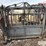 bowman-hydraulic-cattle-chute-image-8