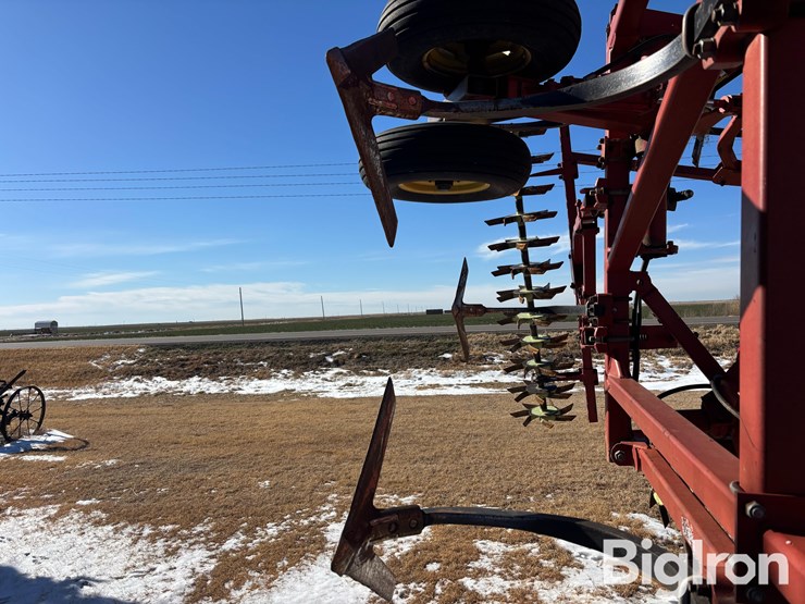 sunflower-42'-3060-42-fallow-king-image-10