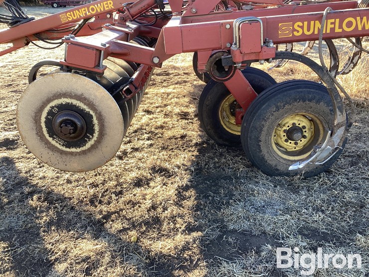 sunflower-4212-13-image-17