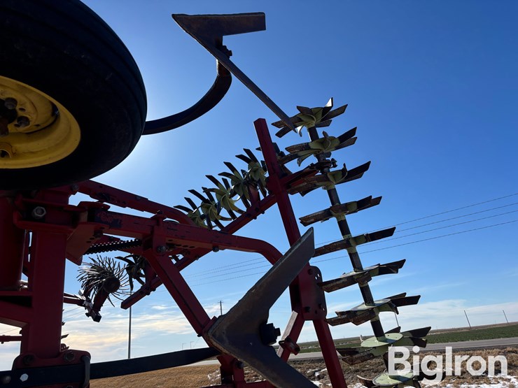 sunflower-42'-3060-42-fallow-king-image-15