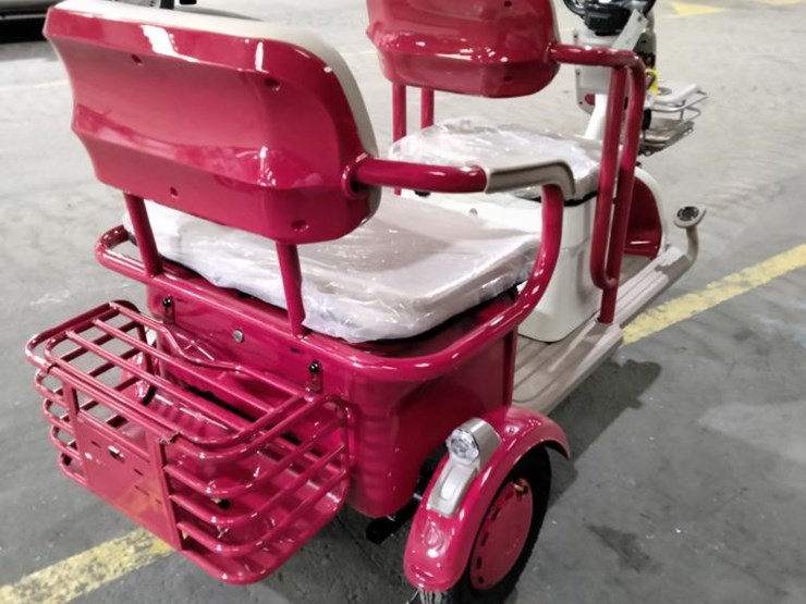 #15-•-mini-2-seater-electric-trike-golf-cart-(irgc40)-image-3