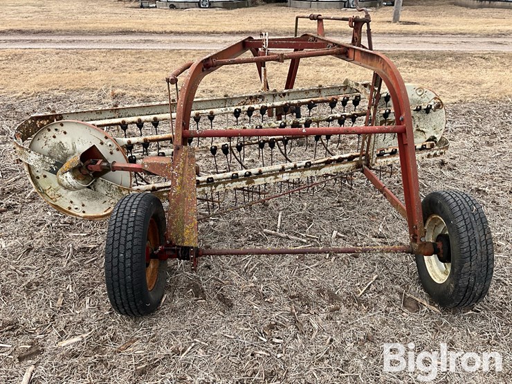 international-16-image-6