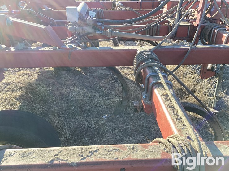 sunflower-4212-13-image-19