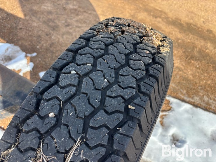 platform-header-dolly-image-12