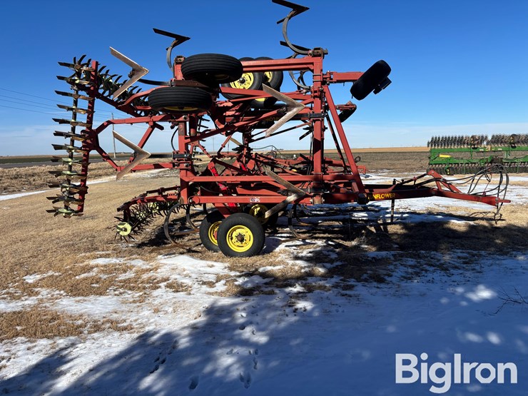 sunflower-42'-3060-42-fallow-king-image-4