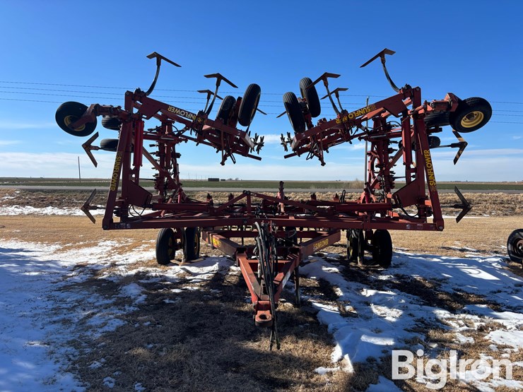 sunflower-42'-3060-42-fallow-king-image-2