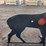 #2070-•-ar500-steel-deer-shooting-target-with-heart-flapper-image-4