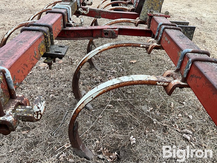 international-55-image-17