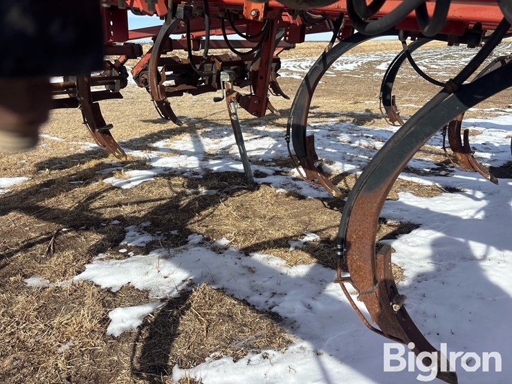 sunflower-4212-16-image-18