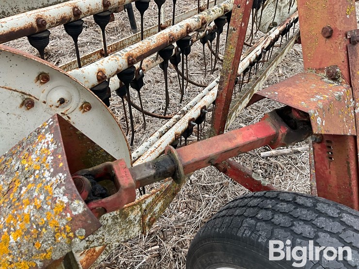 international-16-image-13