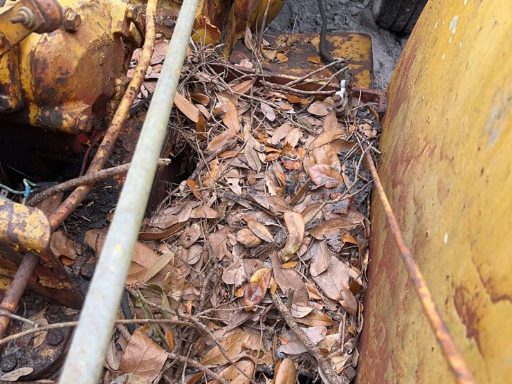 massey-ferguson-orchard-image-46