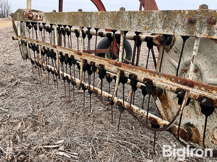 international-16-image-16