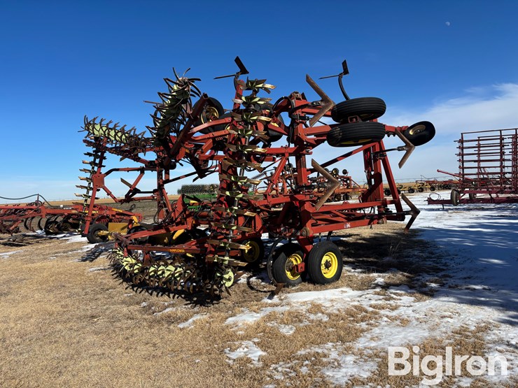 sunflower-42'-3060-42-fallow-king-image-5