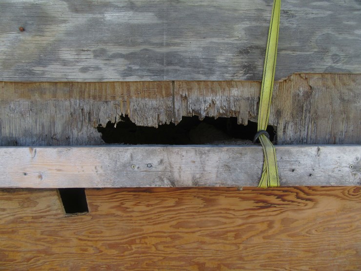 #8973-•-homemade-8'-x-4'-steer-stuffer-image-3