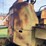caterpillar-814-wheel-loader-image-25