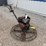 whiteman-4'-power-trowel-with-13hp-honda-motor-image-2