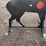 #2070-•-ar500-steel-deer-shooting-target-with-heart-flapper-image-3