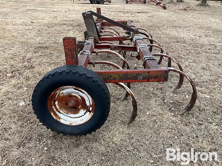 international-55-image-8