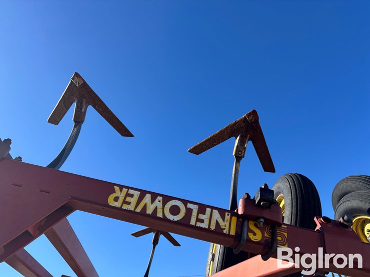 sunflower-42'-3060-42-fallow-king-image-9