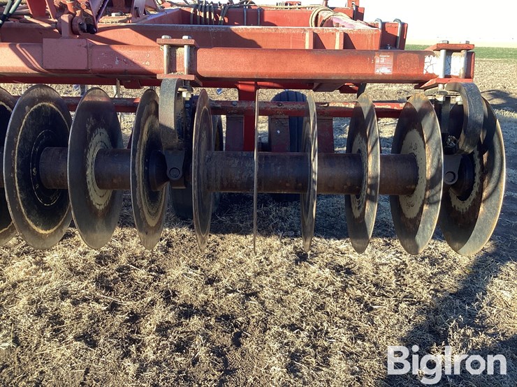 sunflower-4212-13-image-13