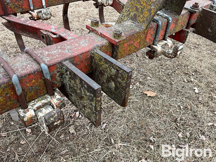 international-55-image-13