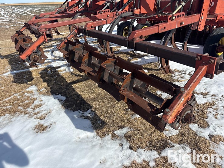 sunflower-4212-16-image-19