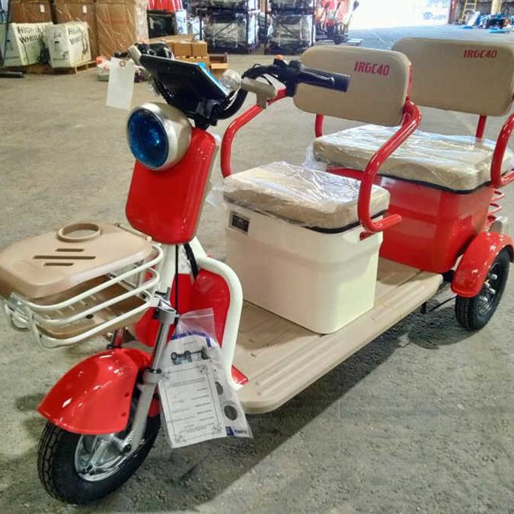 #31 • Mini 2-Seater Electric Trike Golf Cart (IRGC40)