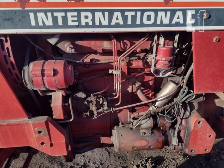 international-84-image-19