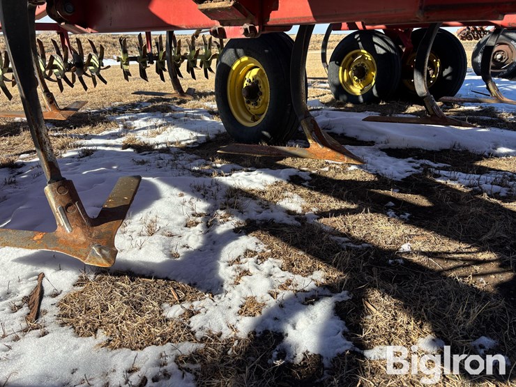 sunflower-42'-3060-42-fallow-king-image-11