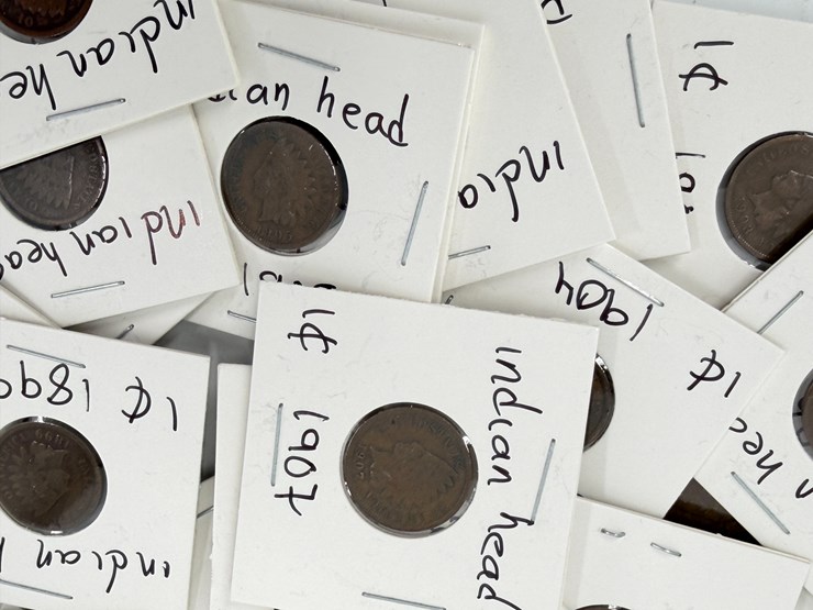 #24346-•-bag-of-indian-head-pennies-and-buffalo-nickles-image-5