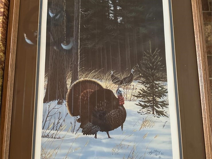 wildlife-pictures-image-5