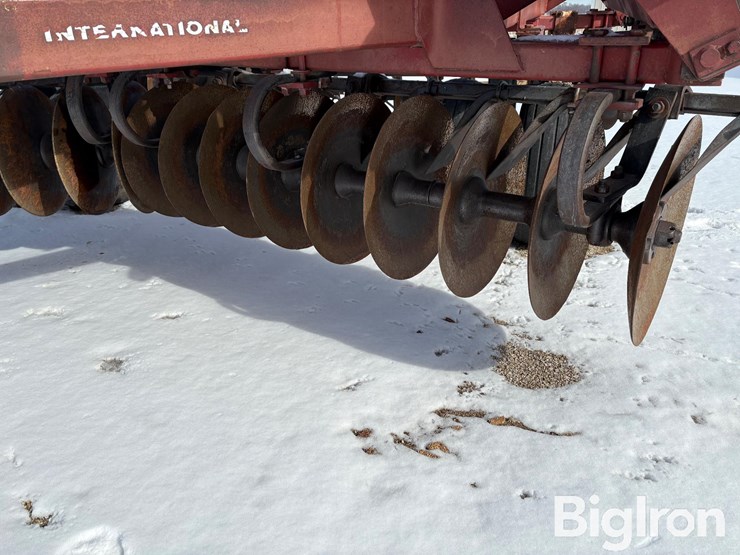 international-21-image-12